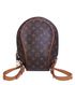 Ellipse Backpack, front view